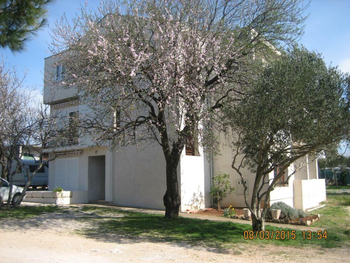 Crancina Apartment Sveti Filip i Jakov Exterior photo